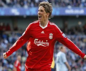 yapboz Fernando Torres, bir hedefe kutluyor